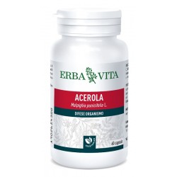 Erba Vita Group Acerola 60...
